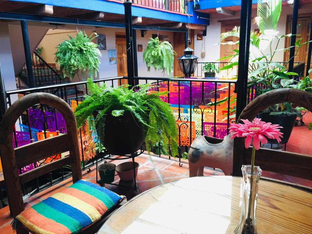 Hotel Cazomalli Oaxaca ภายนอก รูปภาพ