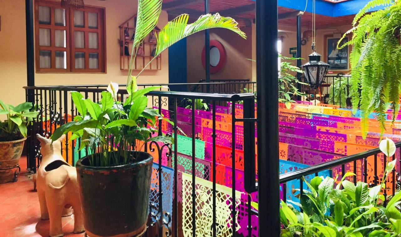 Hotel Cazomalli Oaxaca ภายนอก รูปภาพ