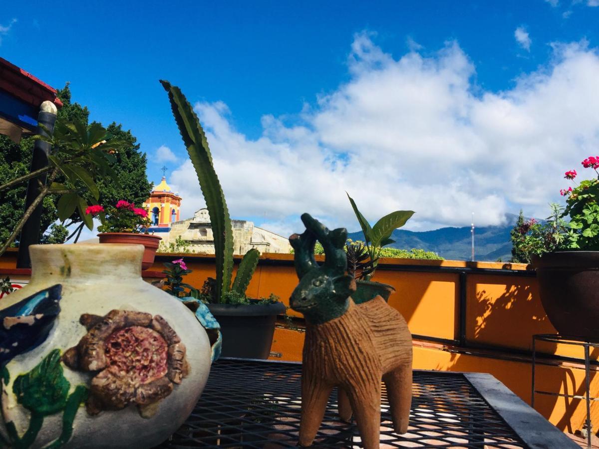 Hotel Cazomalli Oaxaca ภายนอก รูปภาพ